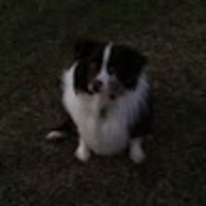 Meet your Posher, Carolyn